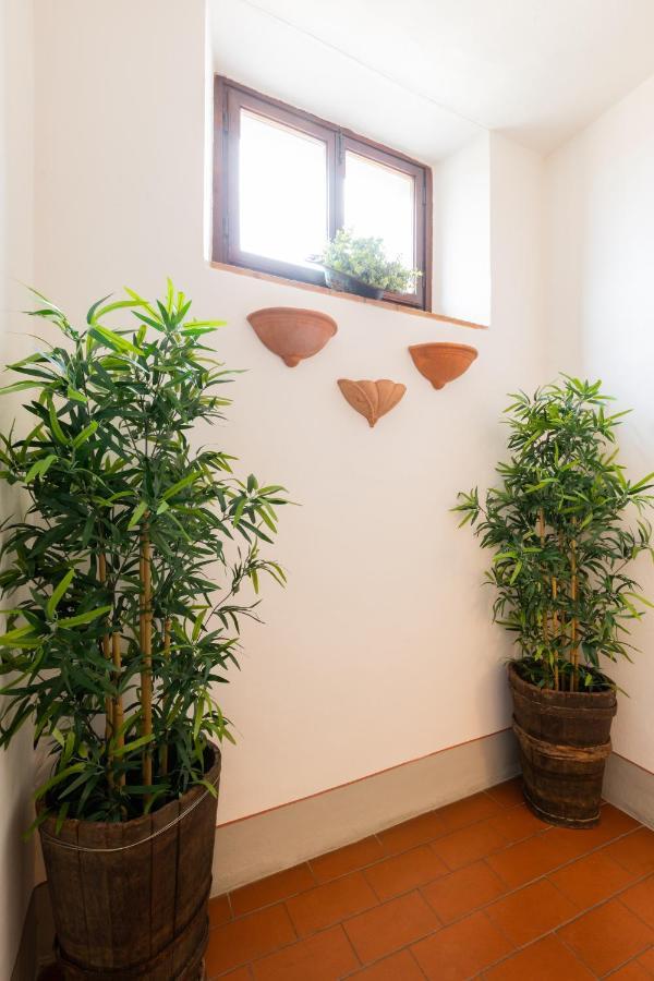 Fiesole'S Cozy Apartment 1 ภายนอก รูปภาพ